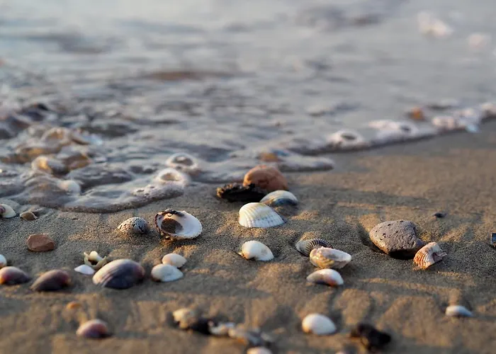 Comfortable Flat For 4 Guests By The