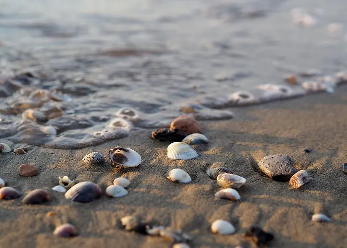 Comfortable Flat For 4 Guests By The 아파트 비비오네